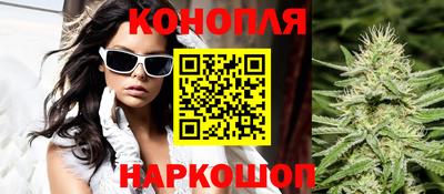 гашик Шелехов