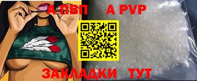 гашик Шелехов