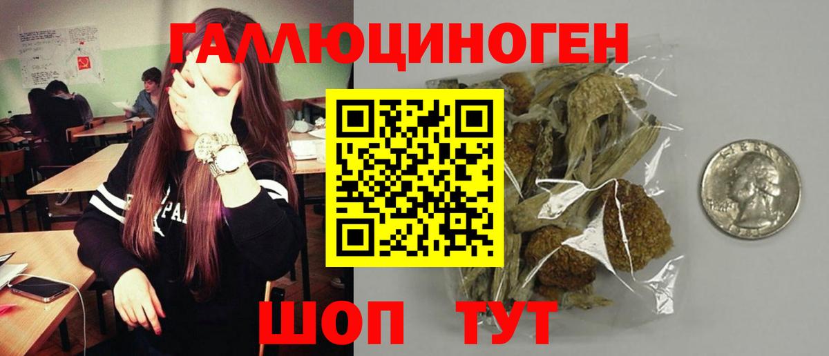 Псилоцибиновые грибы Cubensis  Вход с VPN  Бийск 